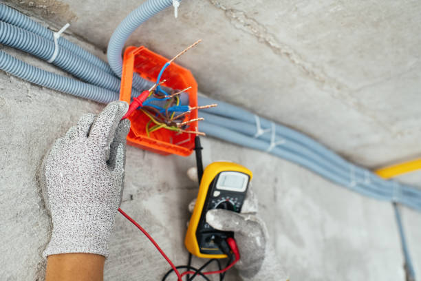 Best Generator Installation Services  in Lesslie, SC